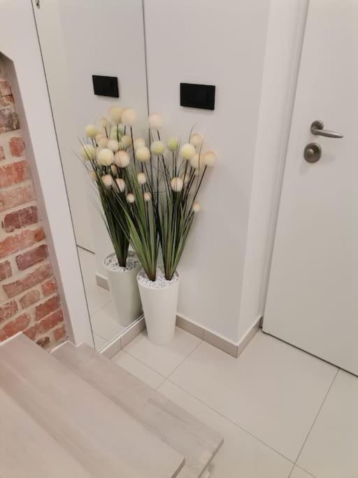 Studio Apartman Lenox Fiume Kültér fotó